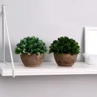 Искусственный цветок в горшке &laquo;Густые листики&raquo;, 13&times;11 см, МИКС