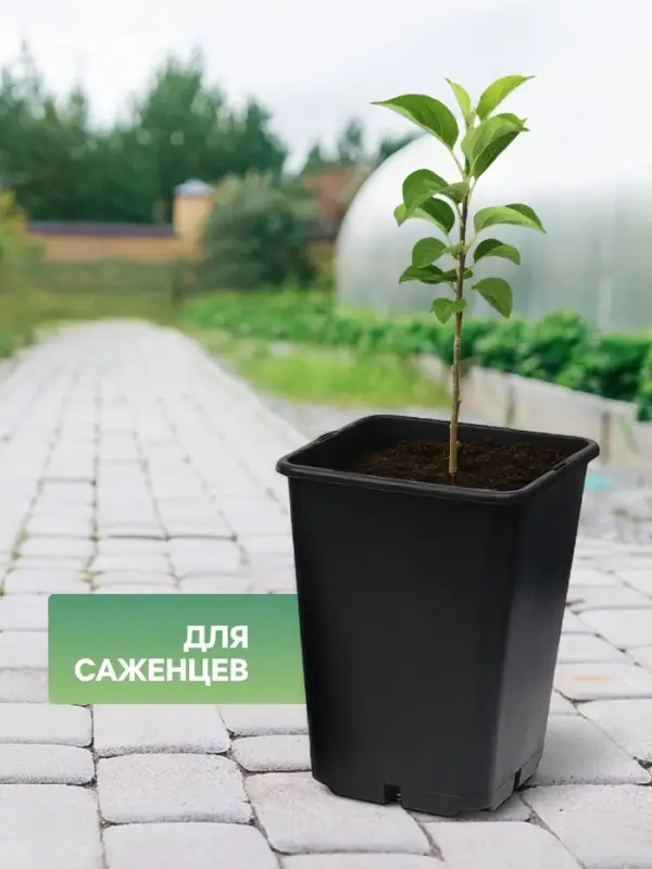 Горшок для рассады, 7 л, 21&times;21&times;27.5 см, чёрный