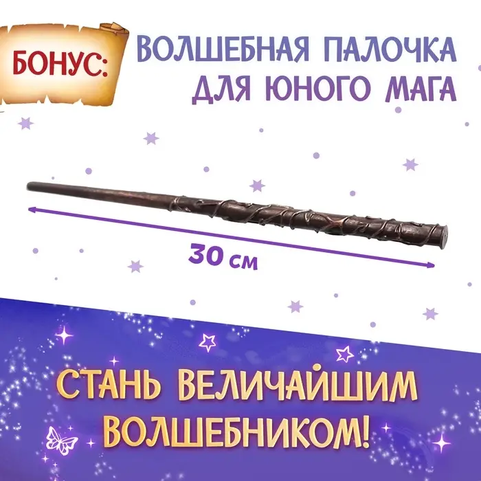Набор книг &laquo;Волшебник&raquo;, 2 шт. по 24 стр., волшебная палочка
