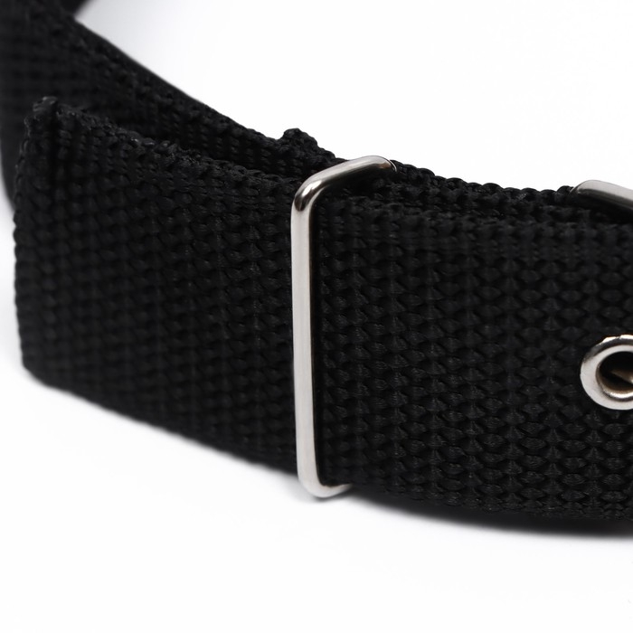 Ошейник клепаный, 48,5 х 3 см, ОШ 31-40 см, полиэстер, чёрный Ошейник клепаный, 48,5 х 3 см, ОШ 31-40 см, полиэстер, чёрный