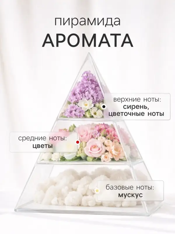 Диффузор ароматический с палочками Holi Enthusiasm, 50 мл