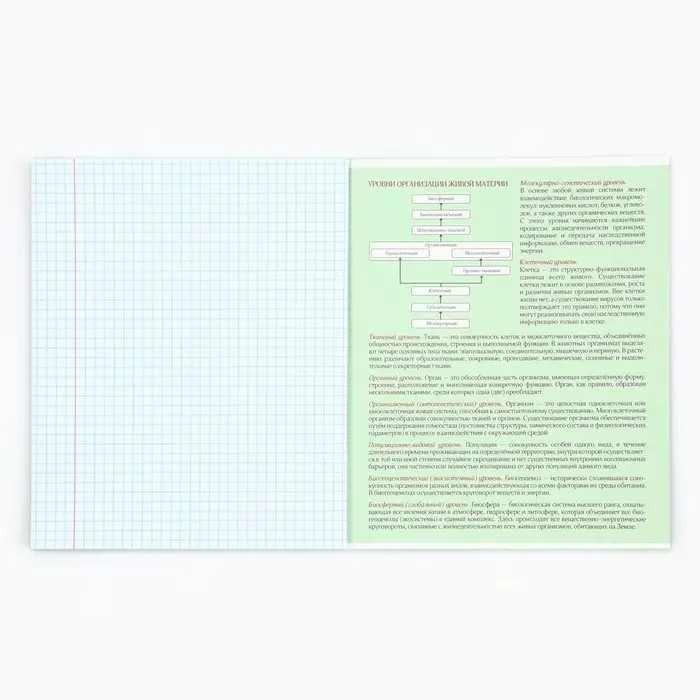 Тетрадь в клетку, предметная, 48 л.,на скрепке, А5 &laquo;Аниме Комикс. Биология&raquo;