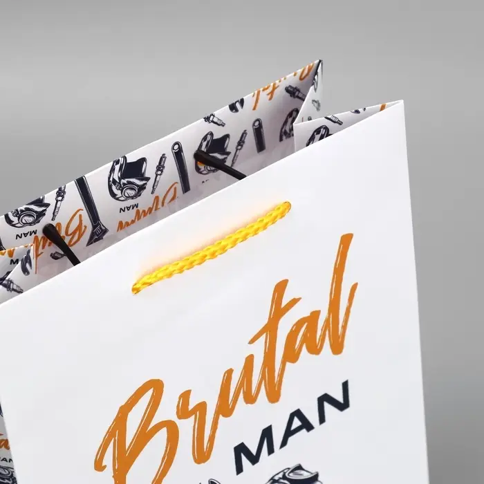 Пакет подарочный ламинированный, упаковка, Brutal man, MS, 23 х 18 х 8 см