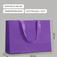 Пакет подарочный, ламинированный, горизонтальный, &laquo;Пурпурный&raquo;, 28&times;20&times;10 см