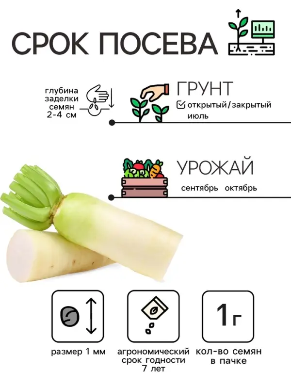 Семена Дайкон  Семена Дайкон "Нацукаши", 1 г