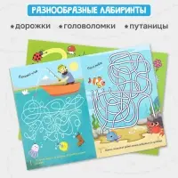 Книги с маркером &laquo;Напиши и сотри. Лабиринты и путаницы&raquo;, набор 2 шт. по 12 стр., многоразовые