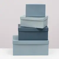 Набор подарочных коробок 10 в 1 &laquo;Барракуда&raquo;, 30.5&times;20&times;13 - 12&times;6.5&times;4 см