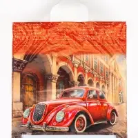 Пакет &laquo;Легенда&raquo;, полиэтиленовый с петлевой ручкой, 42&times;45 см, 45 мкм