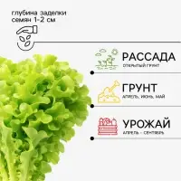 Семена Салат &laquo;Бутерброд&raquo; листовой, 0.5 г, &laquo;Аэлита&raquo;