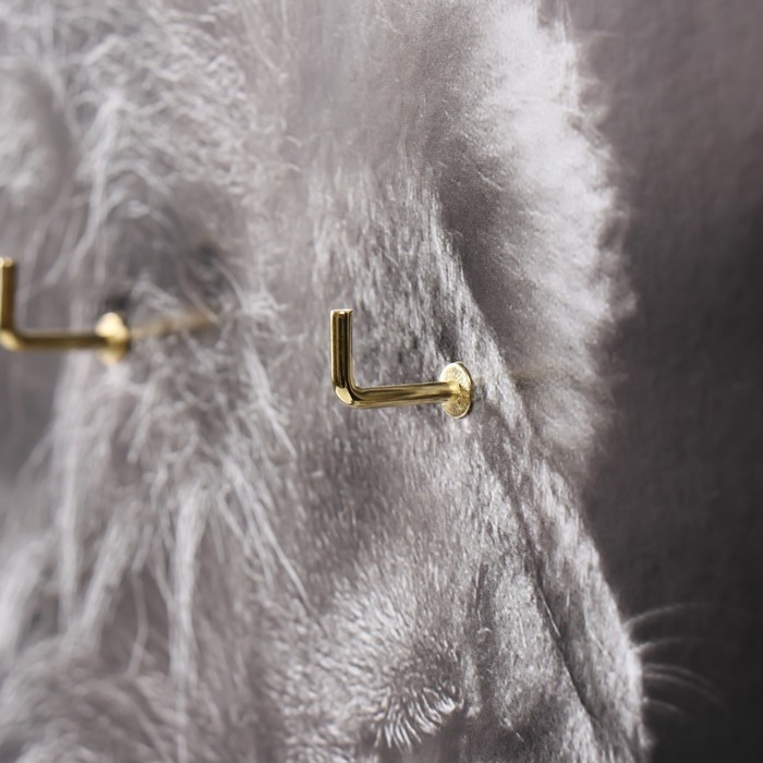 Ключница открытая Ключница открытая "Лев" 5 крючков, 23х32 см