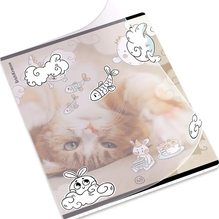 Тетрадь 48 листов в клетку ErichKrause Dream Cat, 60 г/м&sup2;, обложка мелованный картон, МИКС