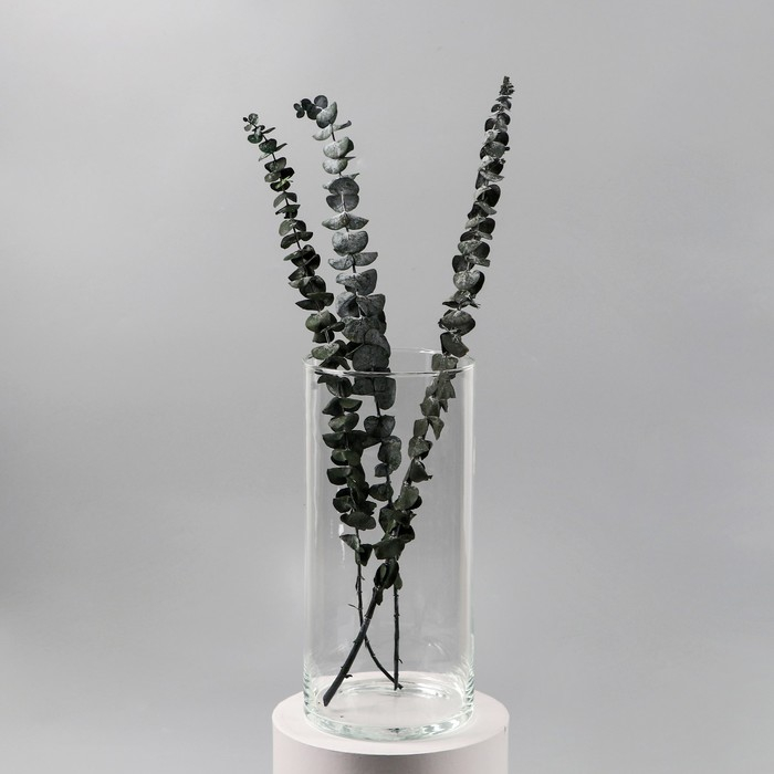 Ваза  Ваза "Ротонда-1"  29,5х13,5см,  3,4л  прозрачная