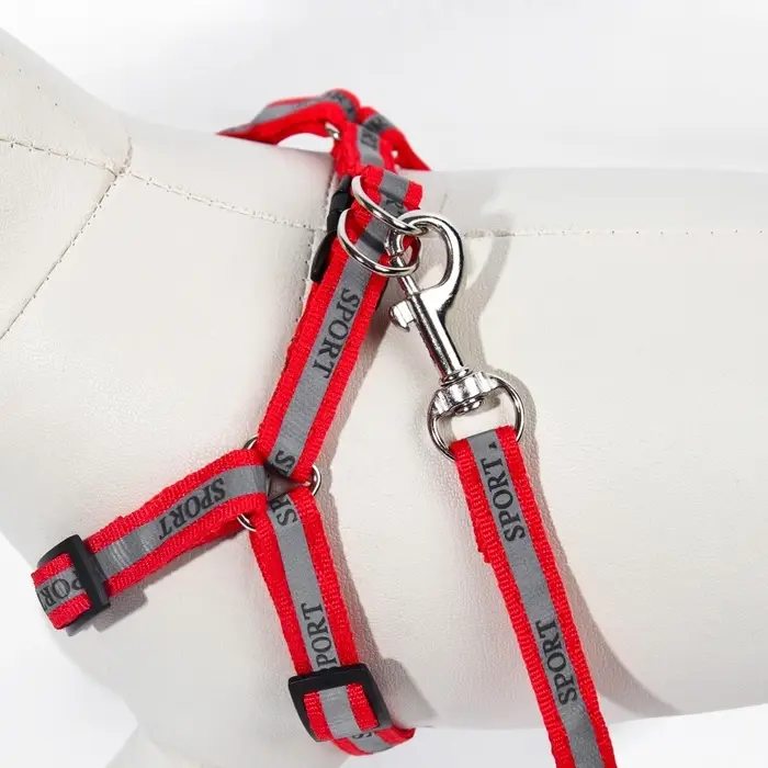 Шлейка с поводком &laquo;Спорт&raquo;, ОГ 23-35 с, ширина 1 см, поводок 120 см, светоотражающий, красная