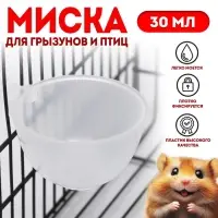 Миска для грызунов и птиц, 30 мл, прозрачная