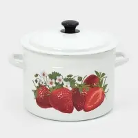 Кастрюля эмалированная, 9 л, d=26.5 см, с крышкой, белая