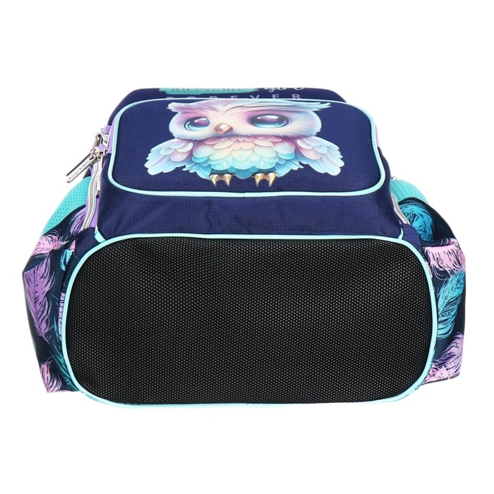 Рюкзак школьный 37х28х14, эргономичная спинка, deVENTE Smart 14L, Happy Owl, для девочек, бирюзовый/фиолетовый Рюкзак школьный 37х28х14, эргономичная спинка, deVENTE Smart 14L, Happy Owl, для девочек, бирюзовый/фиолетовый