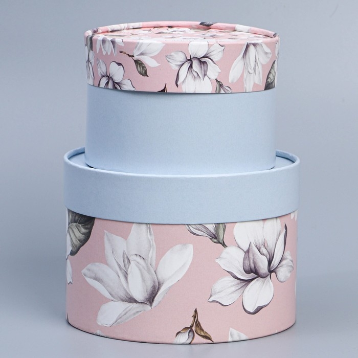 Набор шляпных коробок 2 в 1, упаковка подарочная, «Цветы», 16 х 11.5, 13 х 9 см Набор шляпных коробок 2 в 1, упаковка подарочная, «Цветы», 16 х 11.5, 13 х 9 см