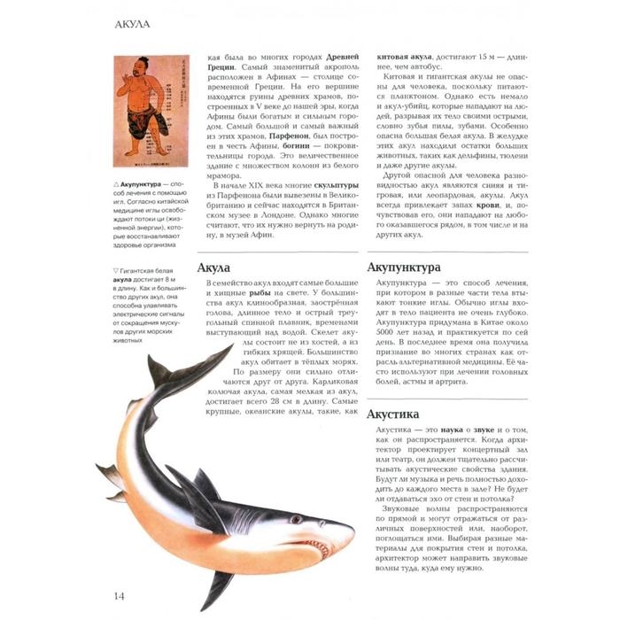 Я знаю всё! Я знаю всё!