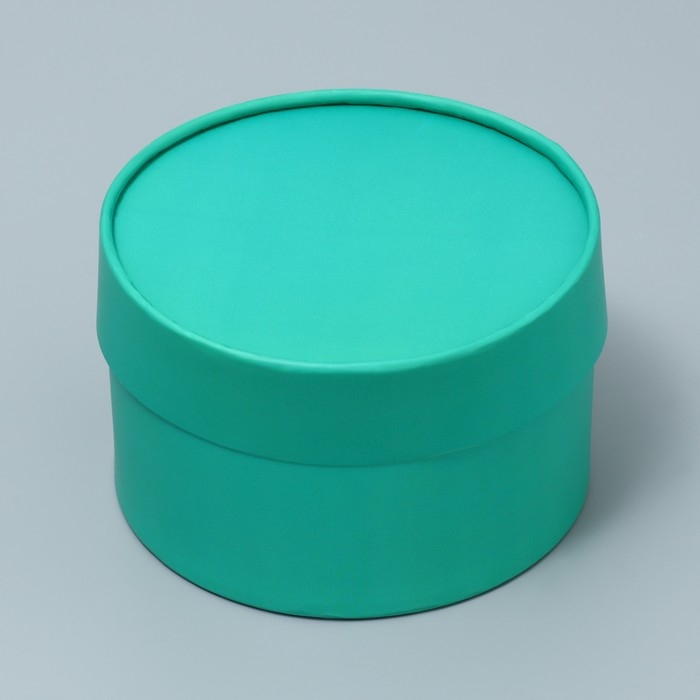 Коробка подарочная, упаковка, «Мята», 13 х 9 см Коробка подарочная, упаковка, «Мята», 13 х 9 см