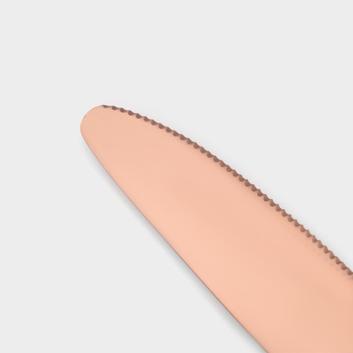 Столовые приборы из нержавеющей стали Magistro «Оску стандарт», 4 предмета, цвет бронзовый Столовые приборы из нержавеющей стали Magistro «Оску стандарт», 4 предмета, цвет бронзовый