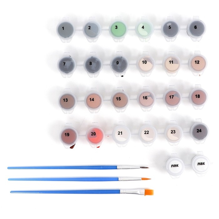 Картина по номерам на холсте с подрамником &laquo;Схватка&raquo;, 40 х 50 см