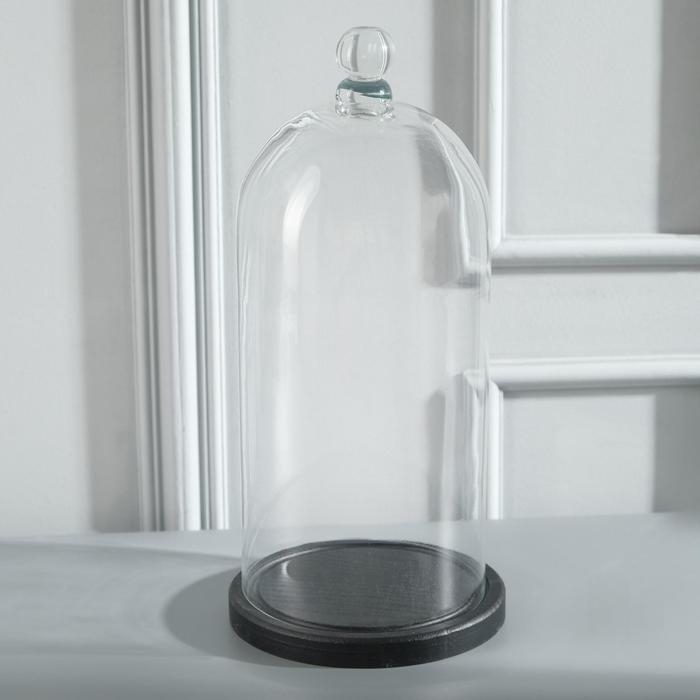 Стеклянный купол-клош с шариком на деревянной подставке Стеклянный купол-клош с шариком на деревянной подставке "Родрик", 34х15 см, стекло, черный