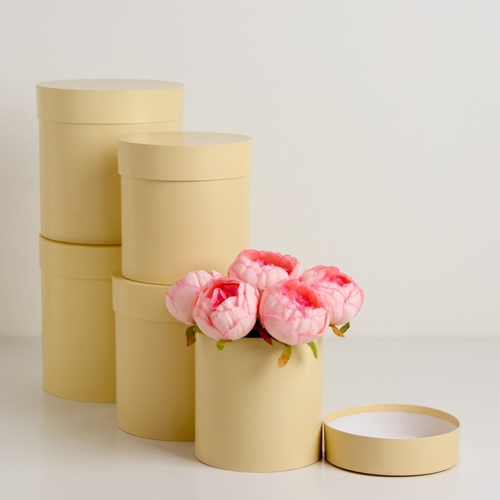 Набор круглых коробок 5в1 "Ваниль перламутровая", 20 × 20 ‒15 × 15 см