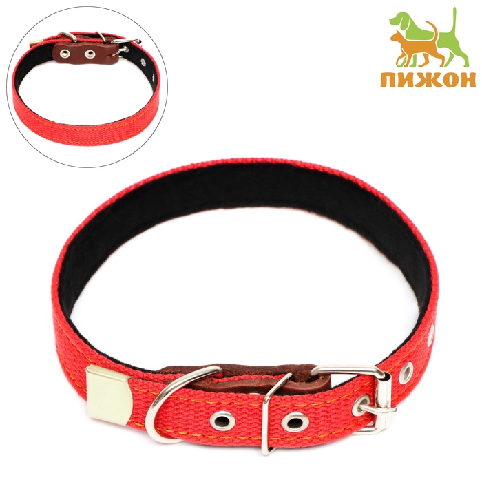 Ошейник брезентовый с подкладом, 57 х 2,5 см, ОШ 35-45 см, красный Ошейник брезентовый с подкладом, 57 х 2,5 см, ОШ 35-45 см, красный