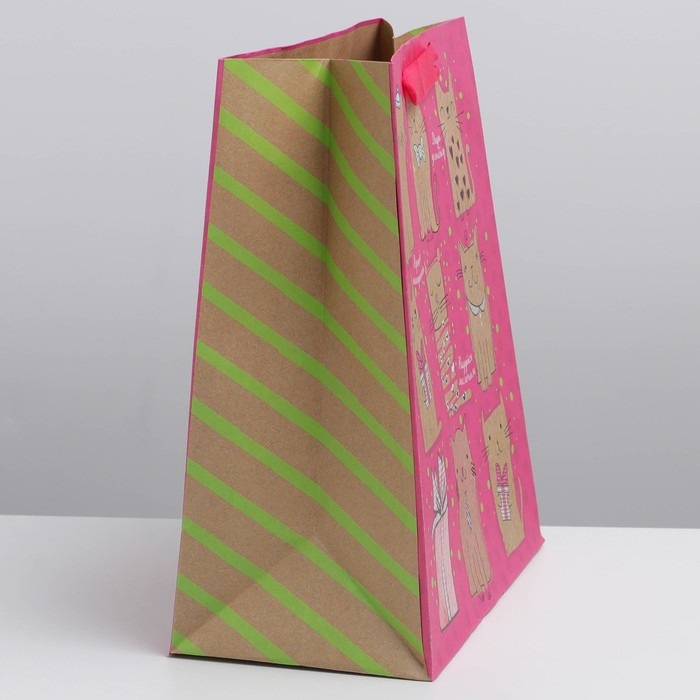 Пакет подарочный крафтовый вертикальный, упаковка, «Милые котики», ML 23 х 27 х 8 см Пакет подарочный крафтовый вертикальный, упаковка, «Милые котики», ML 23 х 27 х 8 см