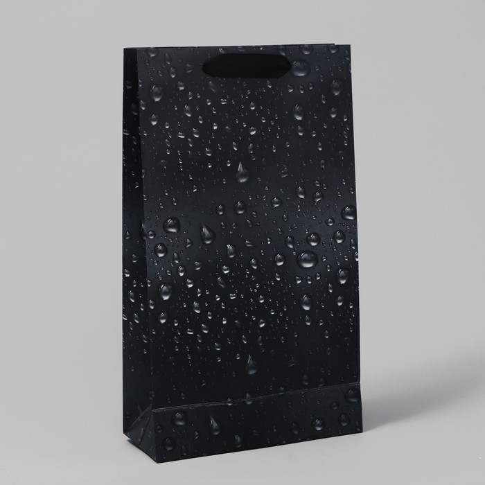Пакет подарочный под две бутылки, упаковка, Black, 35 х 20 х 9 см Пакет подарочный под две бутылки, упаковка, Black, 35 х 20 х 9 см