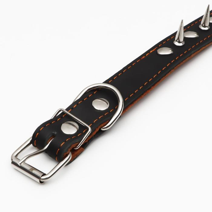 Ошейник кожаный двухслойный  шипованный, 63 х 3 см, ОШ 40-55 см, чёрный Ошейник кожаный двухслойный  шипованный, 63 х 3 см, ОШ 40-55 см, чёрный