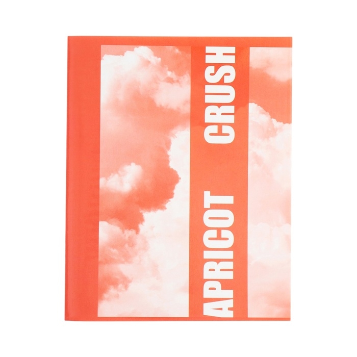 Тетрадь 96 листов в клетку Calligrata Тетрадь 96 листов в клетку Calligrata "Apricot Crush", обложка мелованный картон, глянцевая ламинация, блок офсет МИКС