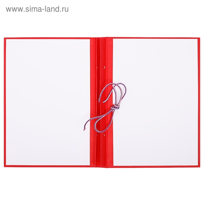 Папка для дипломных работ (без надписи) бумвинил, гребешки/сутаж, без бумаги, красная (вместимость до 300 листов) Папка для дипломных работ (без надписи) бумвинил, гребешки/сутаж, без бумаги, красная (вместимость до 300 листов)