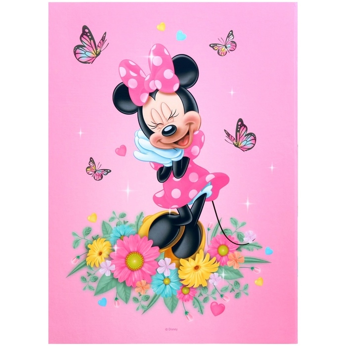 Папка для свидетельства о рождении, 1 файл 21х30 см, Минни Маус Папка для свидетельства о рождении, 1 файл 21х30 см, Минни Маус