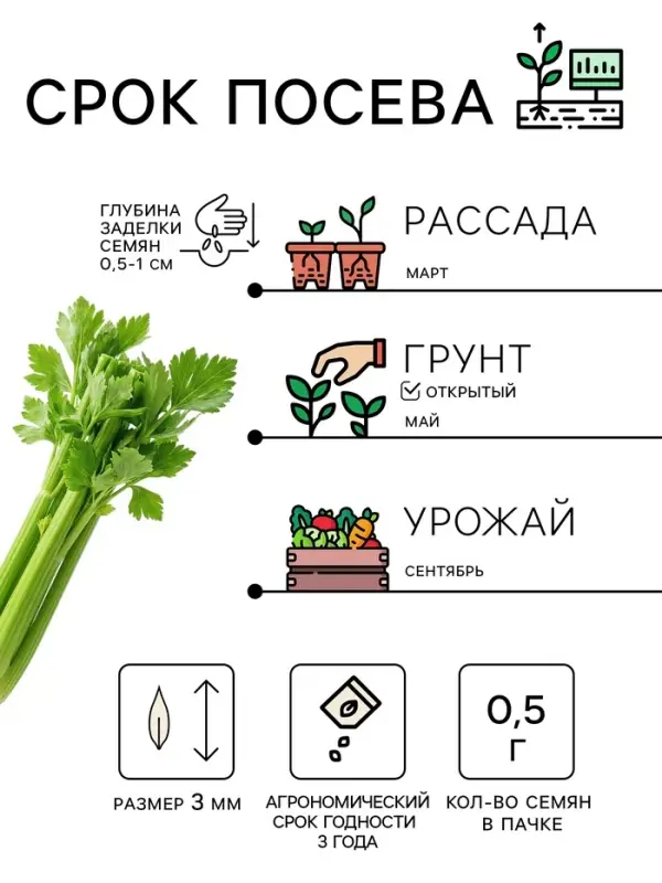 Семена Сельдерей &laquo;черешковый Атлант&raquo;, 0.5 г, &laquo;Рецепты дедушки Никиты&raquo;
