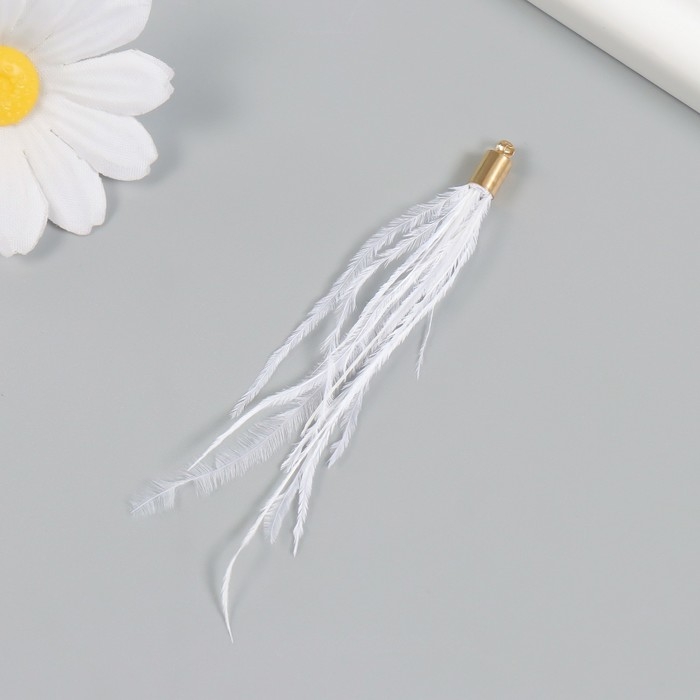 Декор для творчества перо Декор для творчества перо "Кисть Страус" набор 2 шт белый9х0,5 см