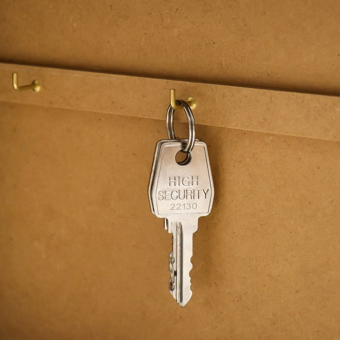 Ключница Ключница "Исаакиевский собор" венге 19х24 см МИКС