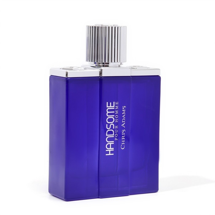 Туалетная вода мужская Chris Adams Handsome Man, 100 мл Туалетная вода мужская Chris Adams Handsome Man, 100 мл