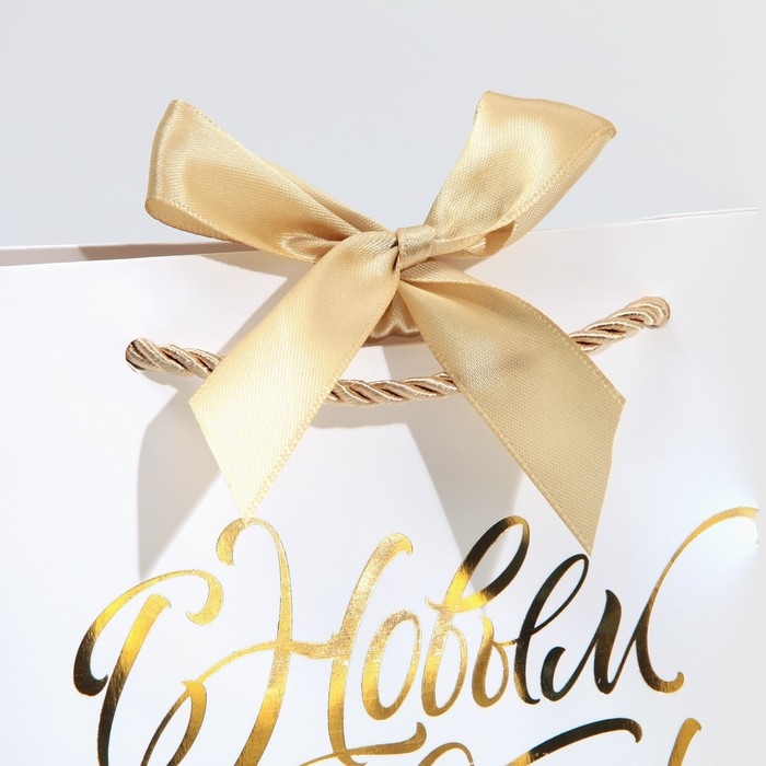 Пакет подарочный новогодний «White Snow», 19 х 20 х 9 см, Новый год Пакет подарочный новогодний «White Snow», 19 х 20 х 9 см, Новый год