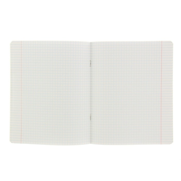 Комплект тетрадей из 10 штук, 24 листа в клетку КПК "Зелёная обложка", блок офсет, 58-62 г/м², белизна 90%