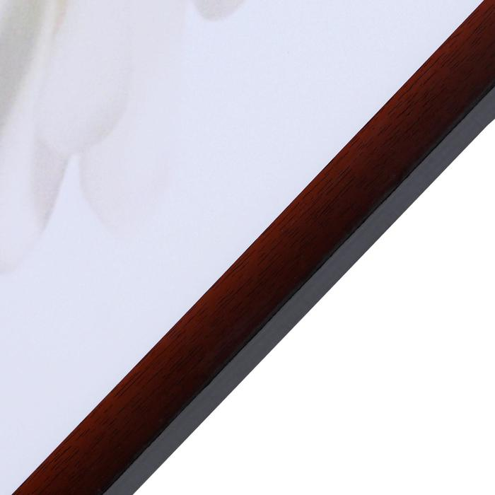 Картина  Картина "Белая орхидея" 67х107 см рамка МИКС