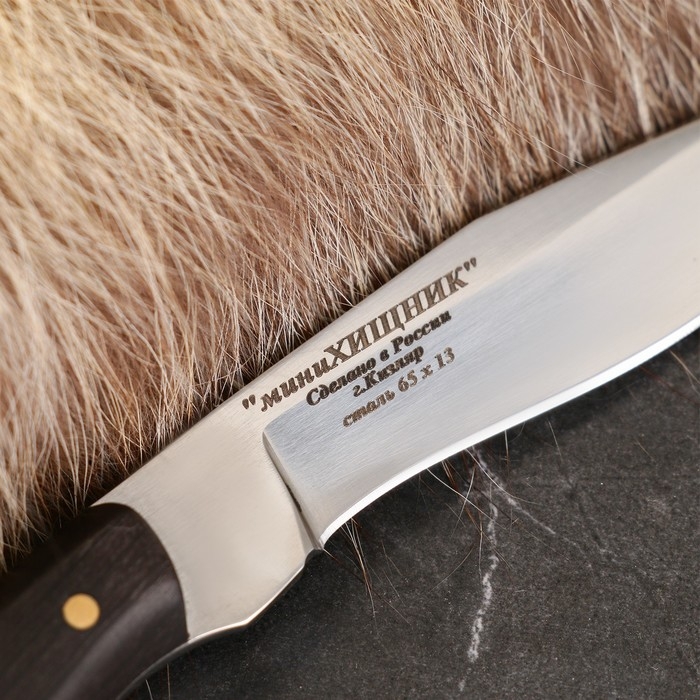 Нож кавказский Нож кавказский "Хищник" сталь - 65Х13, рукоять - граб, 12см