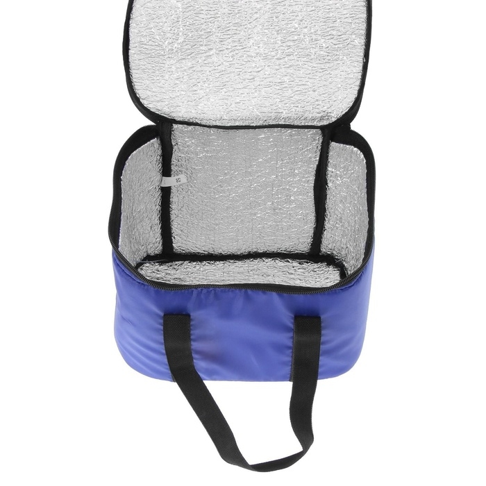 Термосумка Cartage Т-08, синяя, 10 л, 26х19х19 см Термосумка Cartage Т-08, синяя, 10 л, 26х19х19 см