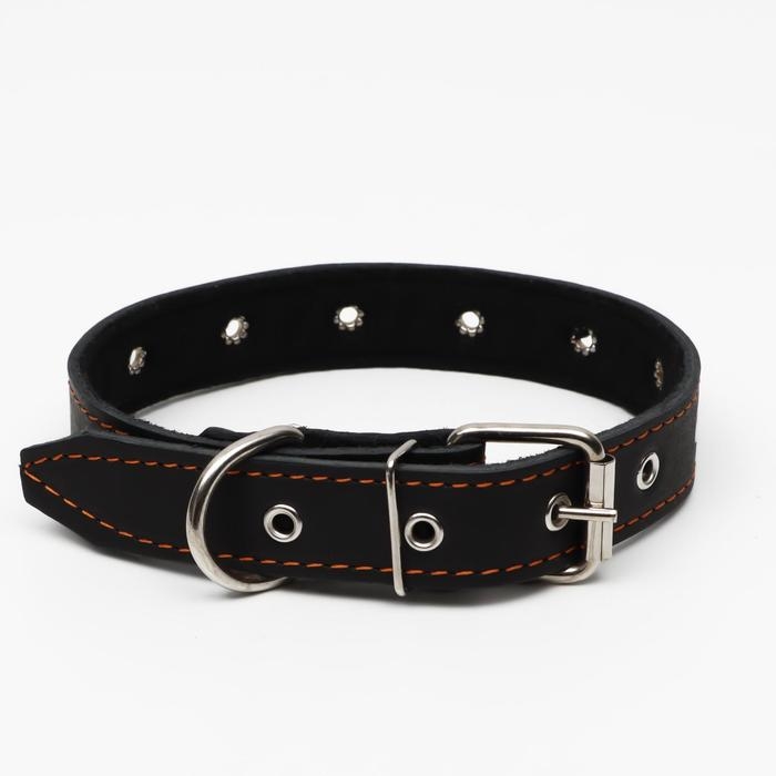 Ошейник кожаный на синтепоне, безразмерный, 65 х 3 см, ОШ 22-55 см,  чёрный Ошейник кожаный на синтепоне, безразмерный, 65 х 3 см, ОШ 22-55 см,  чёрный