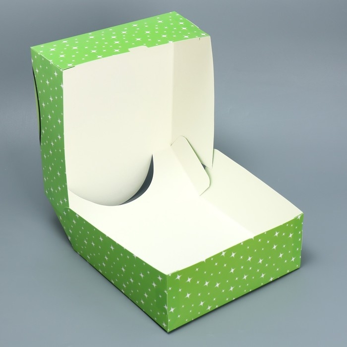 Коробка подарочная складная, упаковка, «Авокадо», 25 х 25 х 10 см