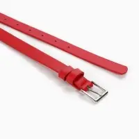 Ремень женский, 1 прокол, пряжка металл, 1.8&times;105 см, красный