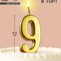 Свеча в торт на шпажке &laquo;Цифра 9&raquo;, золотая, 4.5&times;2.5 см