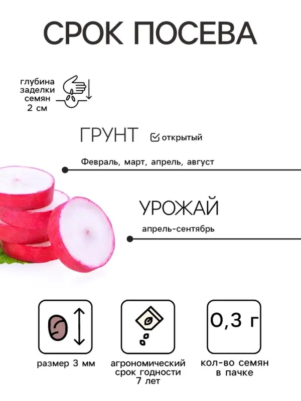 Семена Редис &laquo;Селеста&raquo;, F1, 0.3 г, среднеспелый, &laquo;Тимирязевский питомник&raquo;