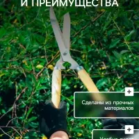 Перчатки садовые, х/б, с нейлоновой нитью, с ПВХ точками, размер 8, МИКС, &laquo;Точка&raquo;, Greengo
