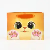 Пакет подарочный «Котик», 19.5 х 14.5 х 8.5 см
